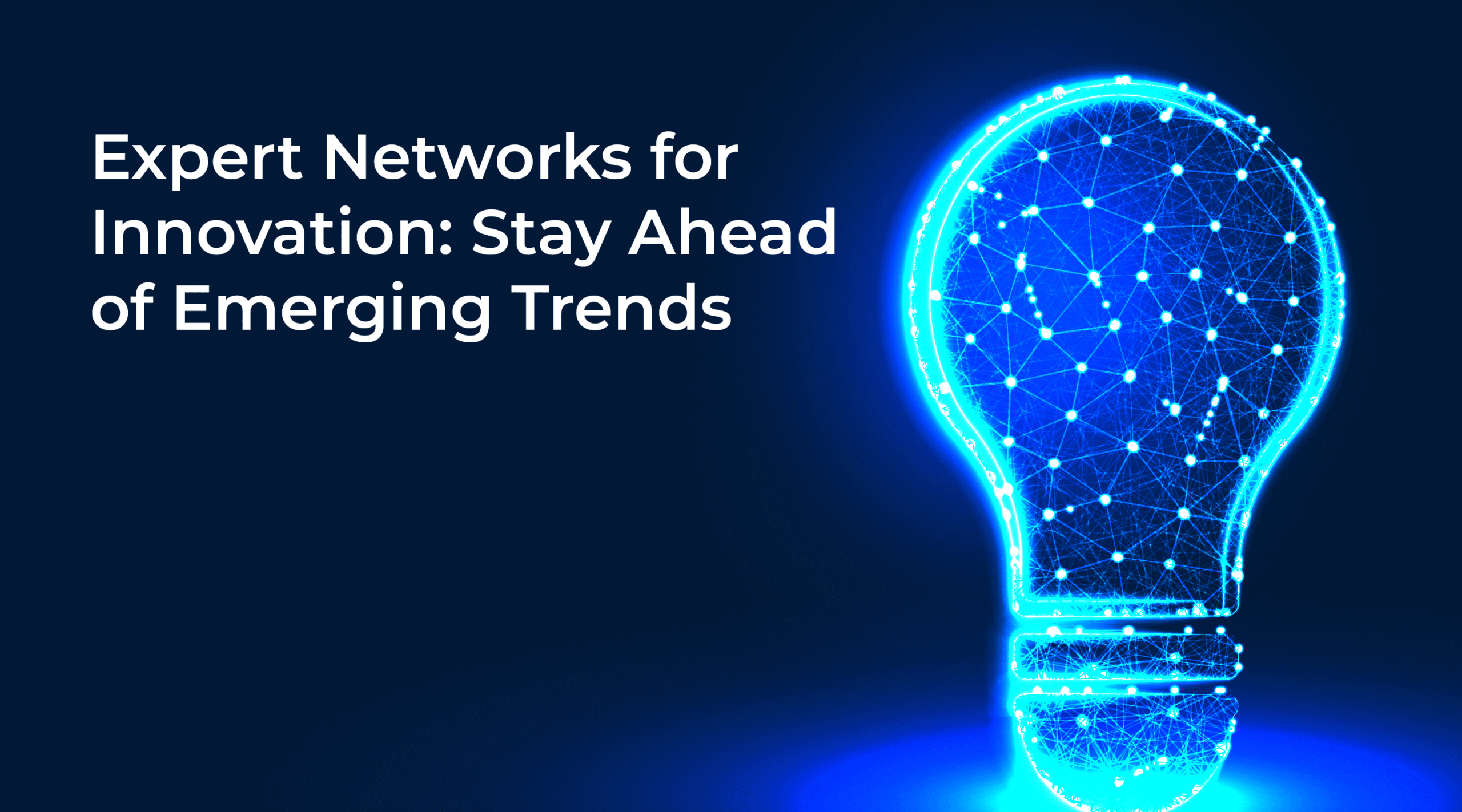 Expert Networks For Innovation