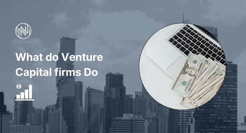 what do venture capital firms do
