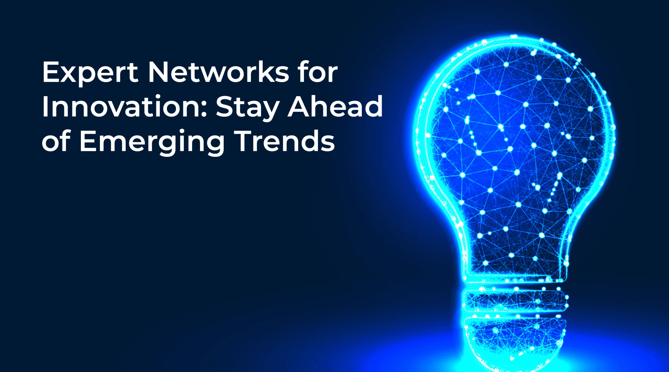 Expert Networks For Innovation